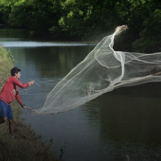 Feeder Rod